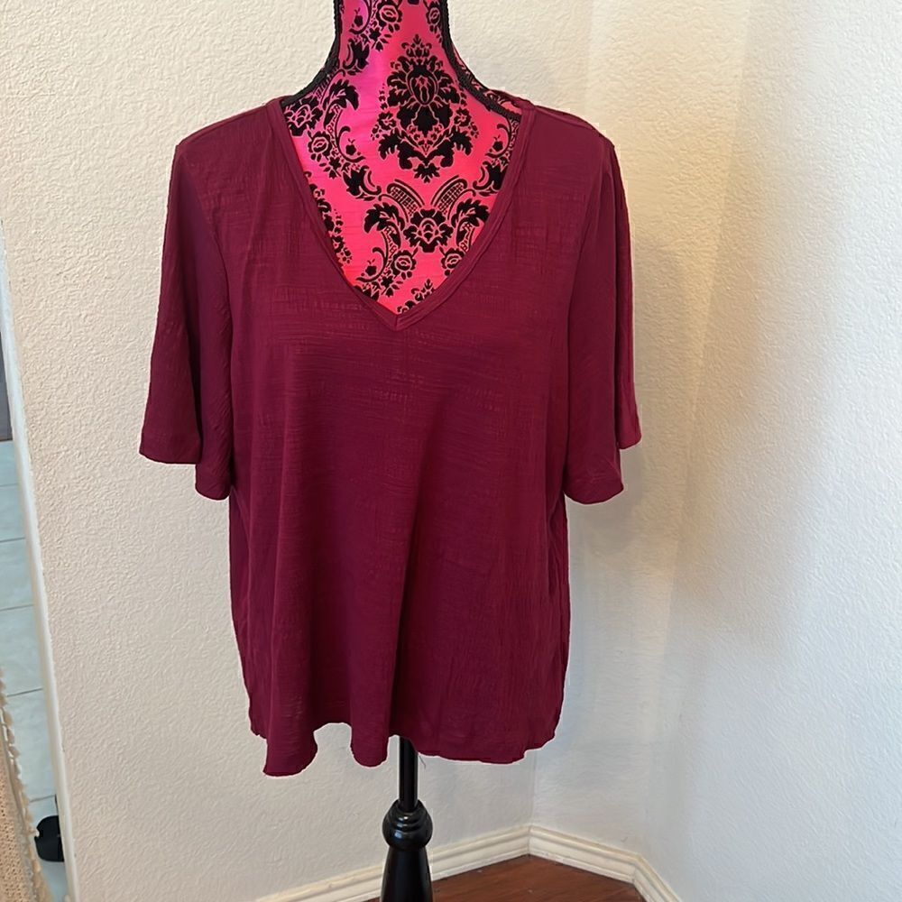 Wonderly Women's V-Neck Short Sleeve Top - Size XL